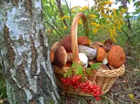 Jigsaw Puzzle Mushrooms in the basket