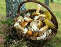 Слагалица Mushrooms in a basket