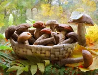 Rätsel Mushrooms in a basket
