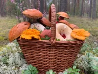 Jigsaw Puzzle Mushrooms in a basket