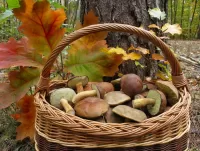 Slagalica Mushrooms in a basket