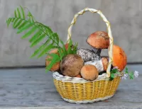 パズル Mushroom basket