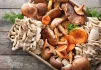 Zagadka Mushroom cuts