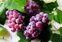 Zagadka Grapes