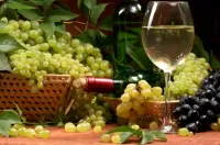 Jigsaw Puzzle bunches of grapes
