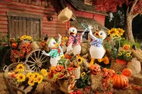 Jigsaw Puzzle Halloween for Ducks