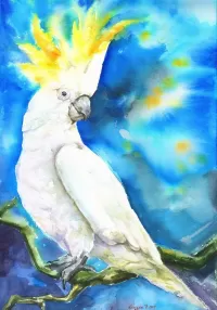 Bulmaca Crested cockatoo
