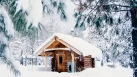 Quebra-cabeça House in Winter