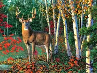 Jigsaw Puzzle Forest keeper