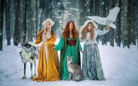 Слагалица Keepers of the forest