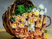 Bulmaca Chrysanthemums