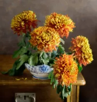 Quebra-cabeça chrysanthemums