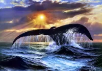Пазл Хвост кита
