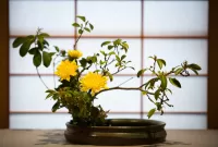 Quebra-cabeça Ikebana