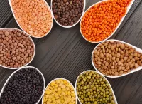Jigsaw Puzzle Indian beans