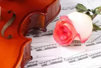 Слагалица Violin and rose