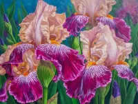 Rompicapo Irises
