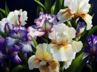 Слагалица irises