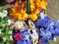 Puzzle Fabric irises