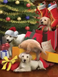Rompicapo Looking for gifts