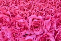Slagalica Artificial roses