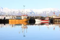 Jigsaw Puzzle Iceland harbour