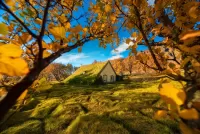 Quebra-cabeça Icelandic autumn