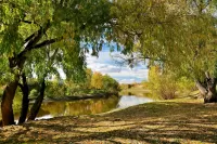 Jigsaw Puzzle Willow river