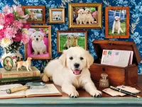 Jigsaw Puzzle From the life of dogs