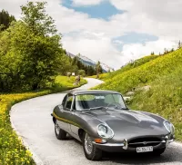Bulmaca Jaguar