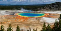 Rätsel Yellowstone
