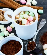 Jigsaw Puzzle Cocoa with marshmallows