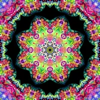 Rompicapo Kaleidoscope