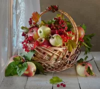Jigsaw Puzzle Kalina and apples