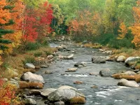 Jigsaw Puzzle stone river