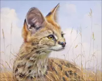 Quebra-cabeça Jungle cat