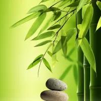 Slagalica Stones and bamboo