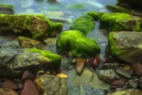 Jigsaw Puzzle Stones in the water