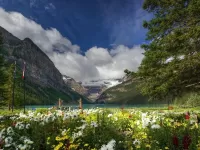 Jigsaw Puzzle Canada mountains