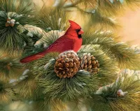 Puzzle Cardinal on branch