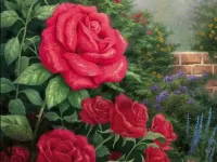 Пазл Красные розы