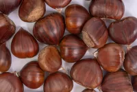 Jigsaw Puzzle Chestnuts