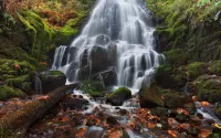 Quebra-cabeça Cascading waterfall