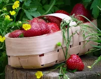 Quebra-cabeça Strawberries and buttercups