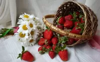 Quebra-cabeça Strawberries and chamomile
