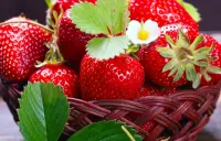Quebra-cabeça Strawberries in the basket