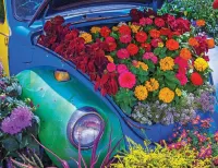 Quebra-cabeça Flower bed in the trunk