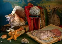 Jigsaw Puzzle Books and shells