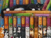 Quebra-cabeça Book shelf of a cat