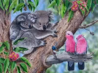 パズル Koalas and birds